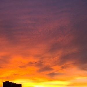 Meet your Posher, Rithik